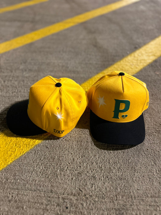 DXP Two Tone Airbrushed "P" Pre Curved SnapBack