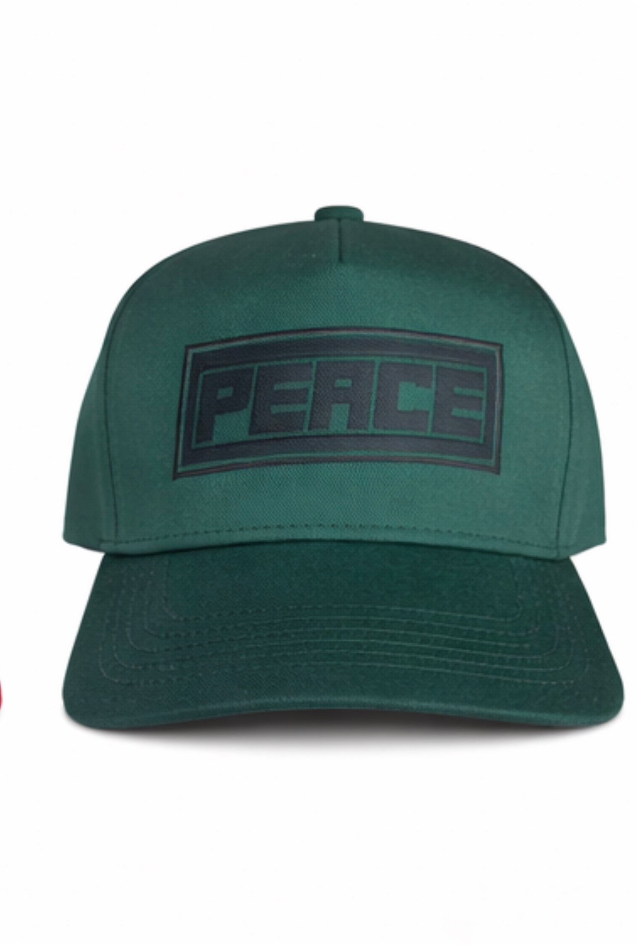 DXP Everyday Pre Curved SnapBack